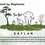 “เคฟล่า” จับมือ “ปางช้างแม่แตง” เปิดตัวคอลเลกชันพิเศษ CEFLAR x SUDA เครื่องใช้ไฟฟ้าจากศิลปะช้างไทย ร่วมสมทบทุนสร้างโรงพยาบาลช้างเชียงใหม่